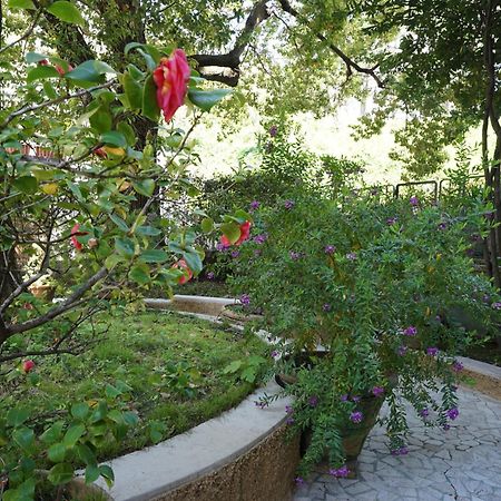 La Casa Dell'Albero La Spezia Exterior foto